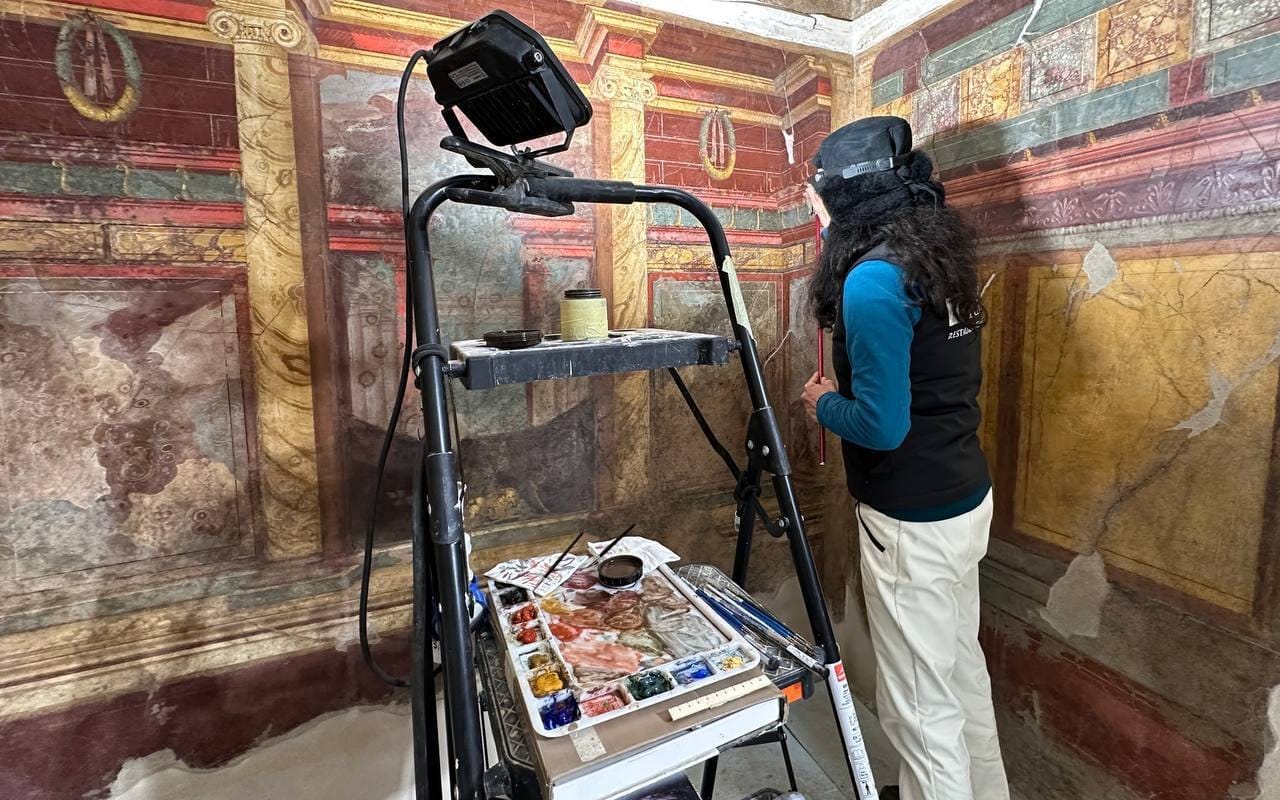 Peacocks and Ancient Masks Unearthed at Pompeii's Villa of Poppaea